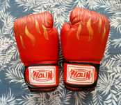 Luvas Boxe (bom estado)