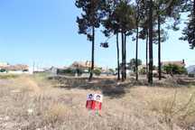 Terreno Urbano; Quinta do Conde