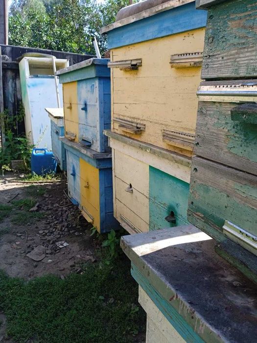 Продам вулики дадан