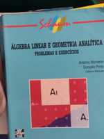 Livro de " Álgebra Linear e geometria analítica"