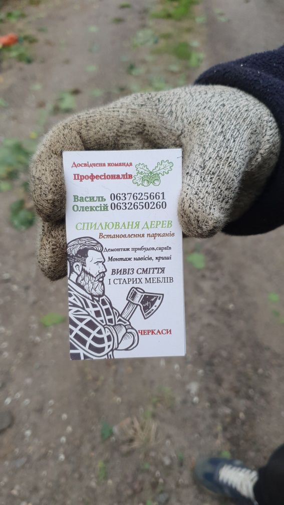 Зрізка дерева,чистимо від дерев,коренів,розчистка тереторії для вас.