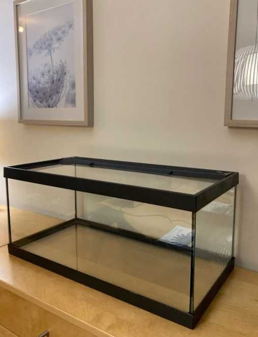 Aquário 62cm x 31cm x 28 cm