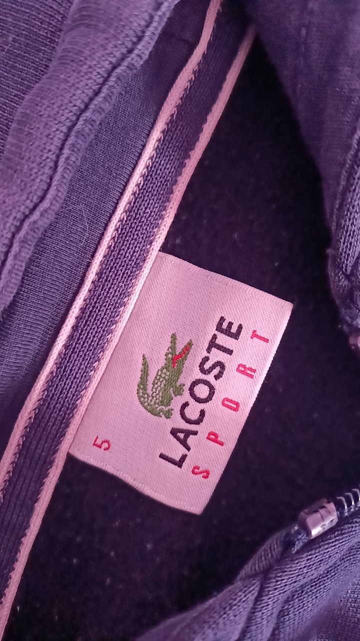 bluza lacoste granatowa