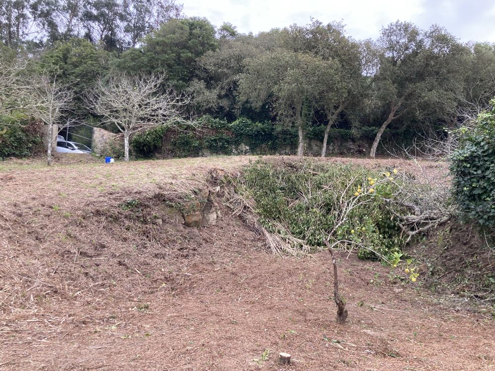 Serviços de espaços verdess