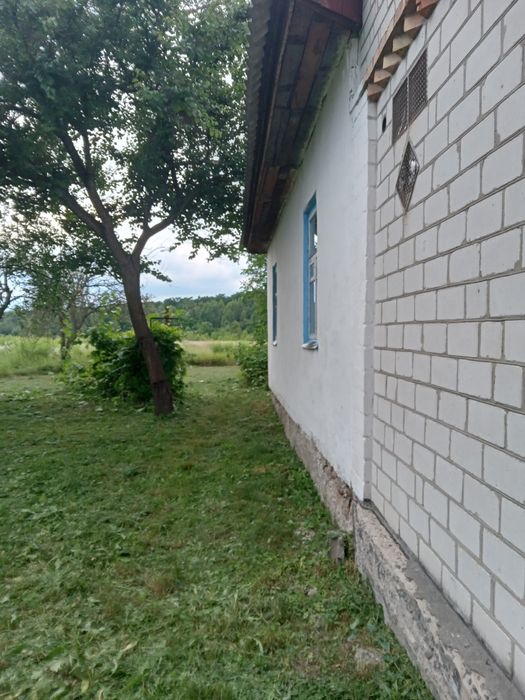 Будинок та земельна ділянка