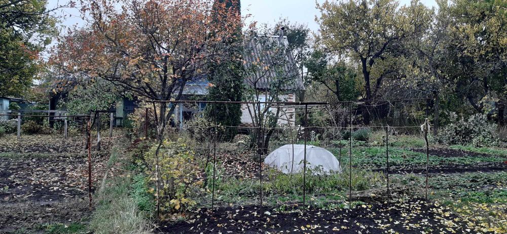 Дача, Хіммістечко