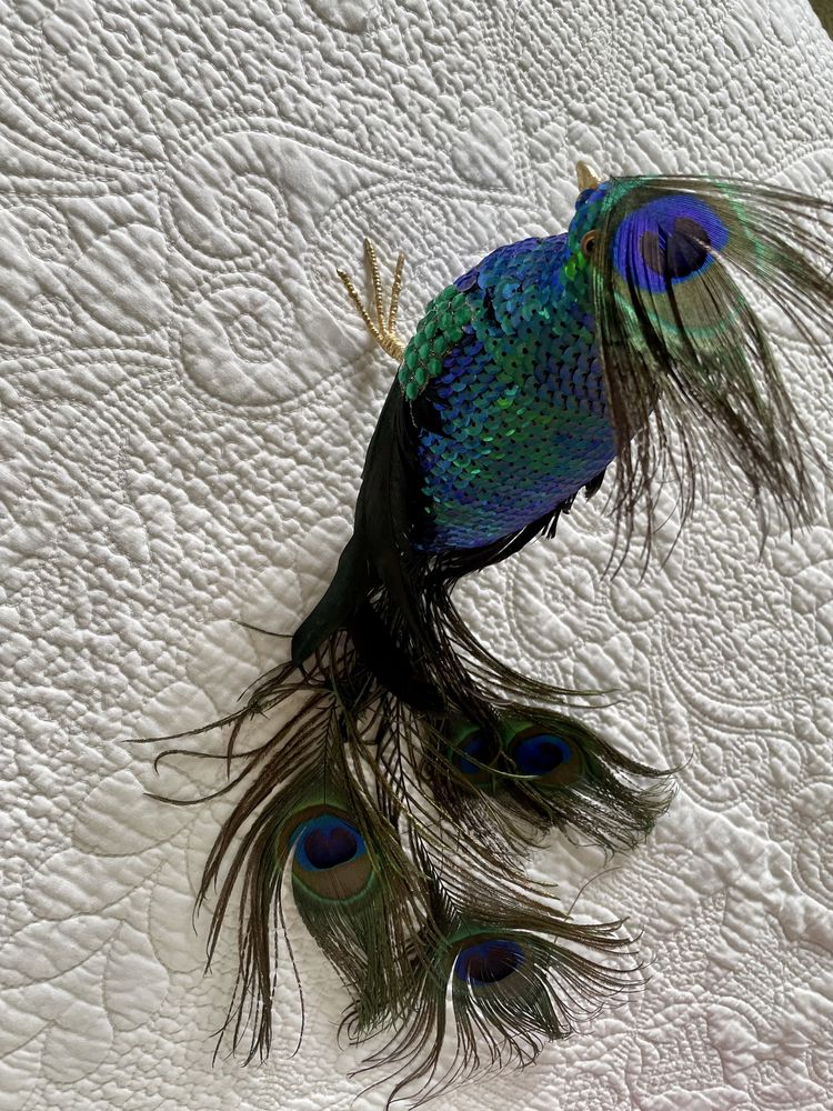 Pavão decorativo com penas verdadeiras