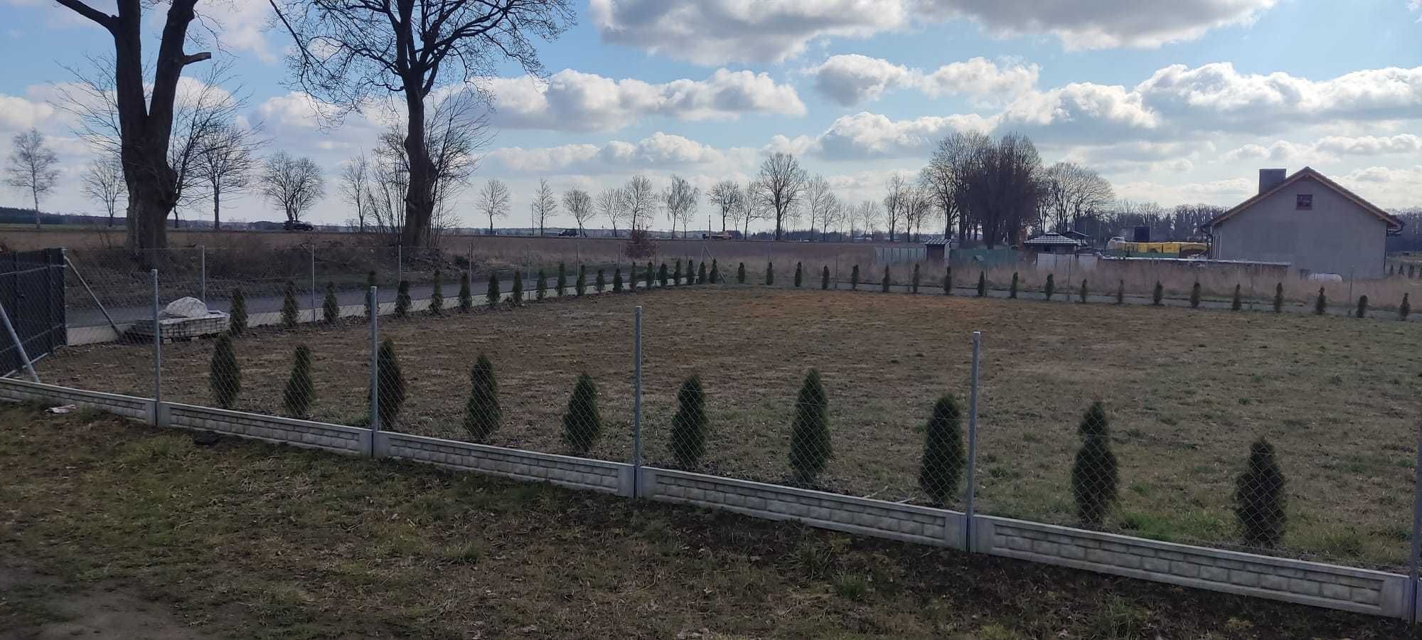 Działka budowlana Krajenka