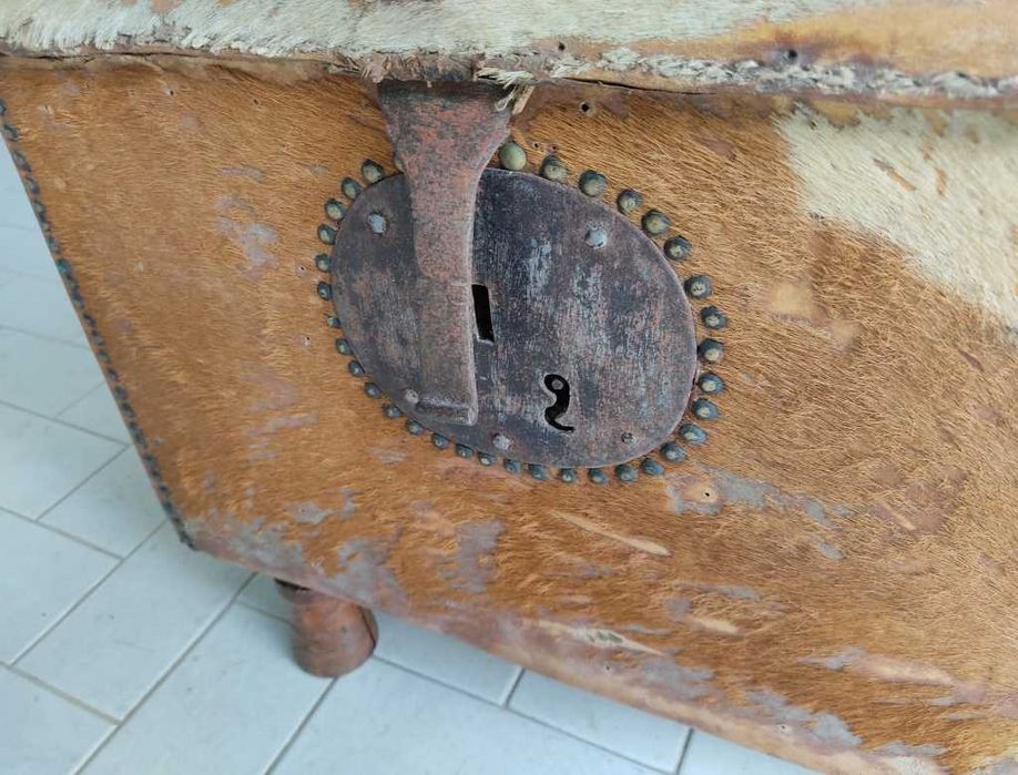 Arca / baú antigo do século XIX — peça única!