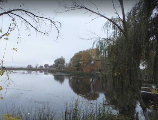 Ділянка 62 сотки. Житомирська область, село Ходорків.