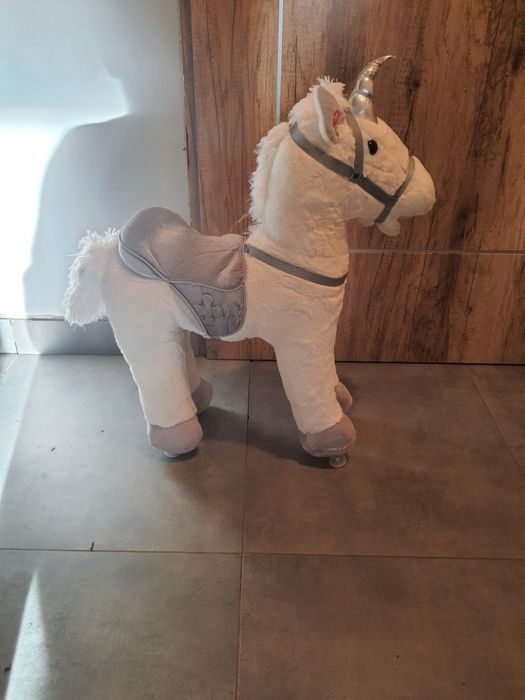 Konik na biegunach