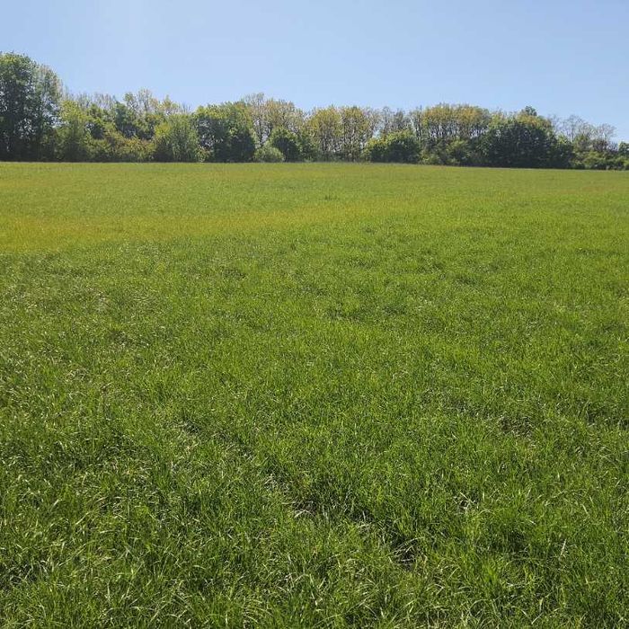 Земельный участок Цена 430$ за сотку.