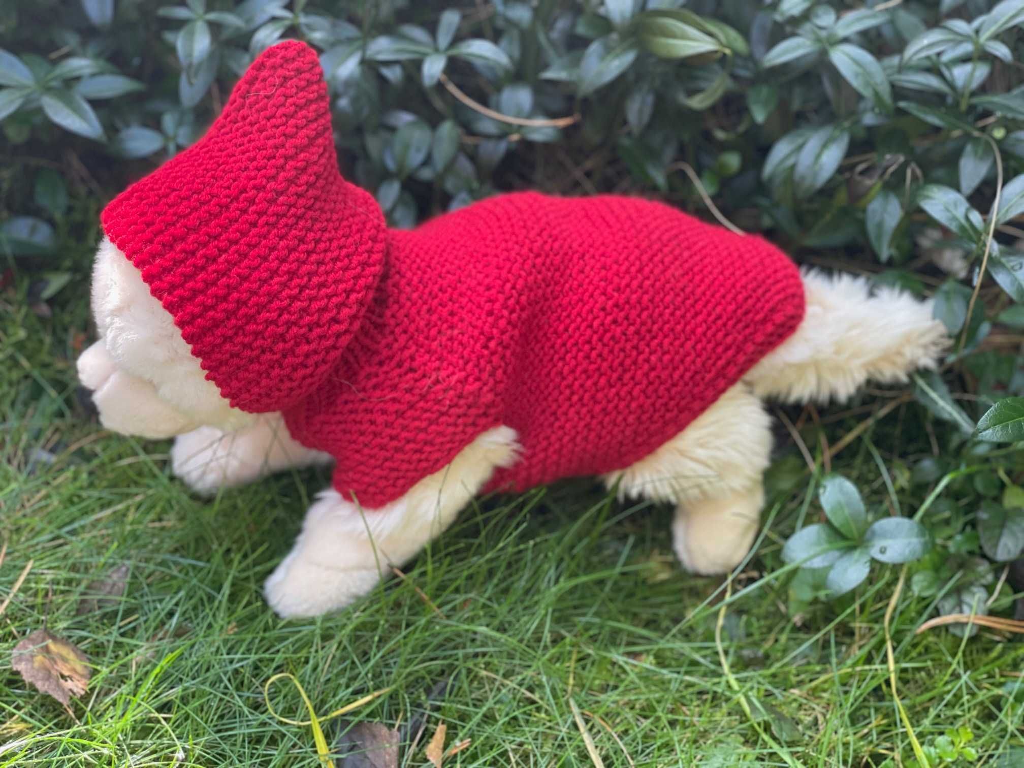 Sweterek dla małego pieska lub kotka czerwony