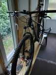 Focus Raven 29-er. Carbon, DT-Swiss, XT