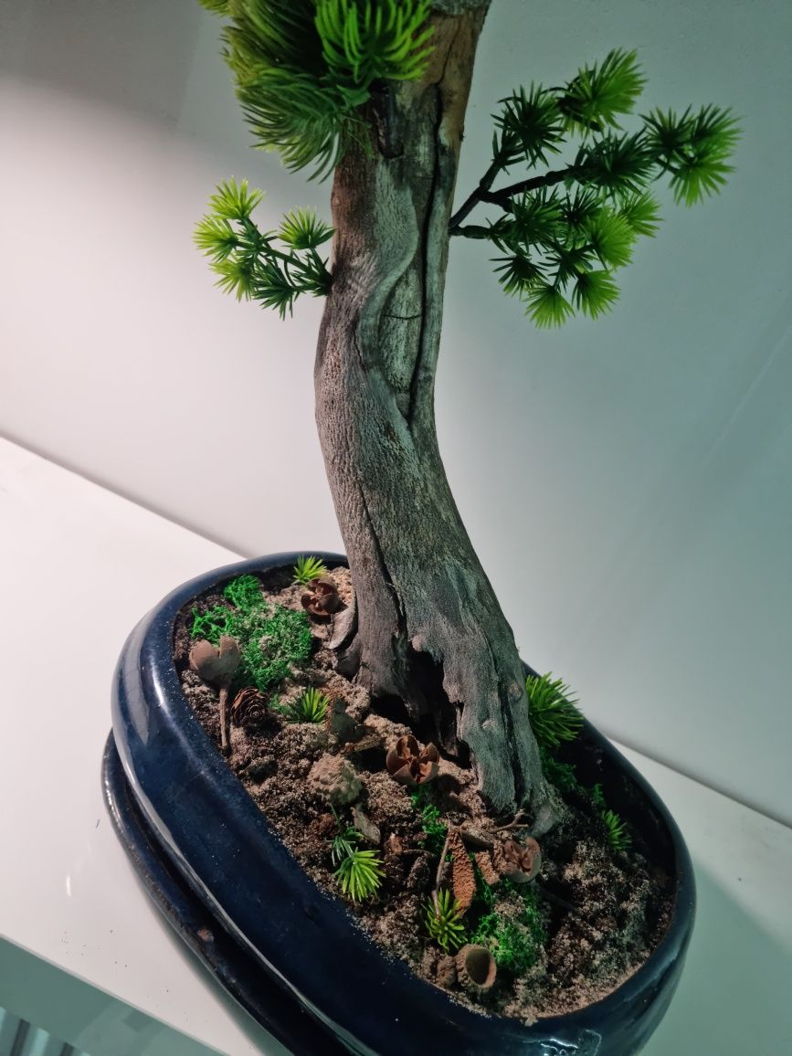 Drzewko   bonsai