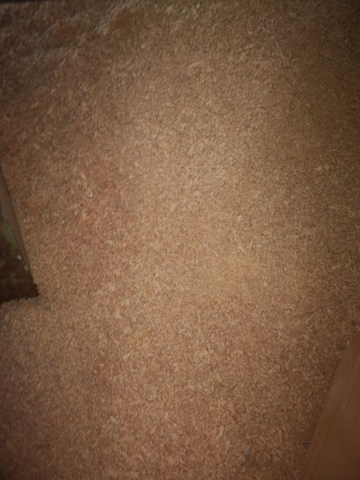 Продам опилки мешками 40 грн