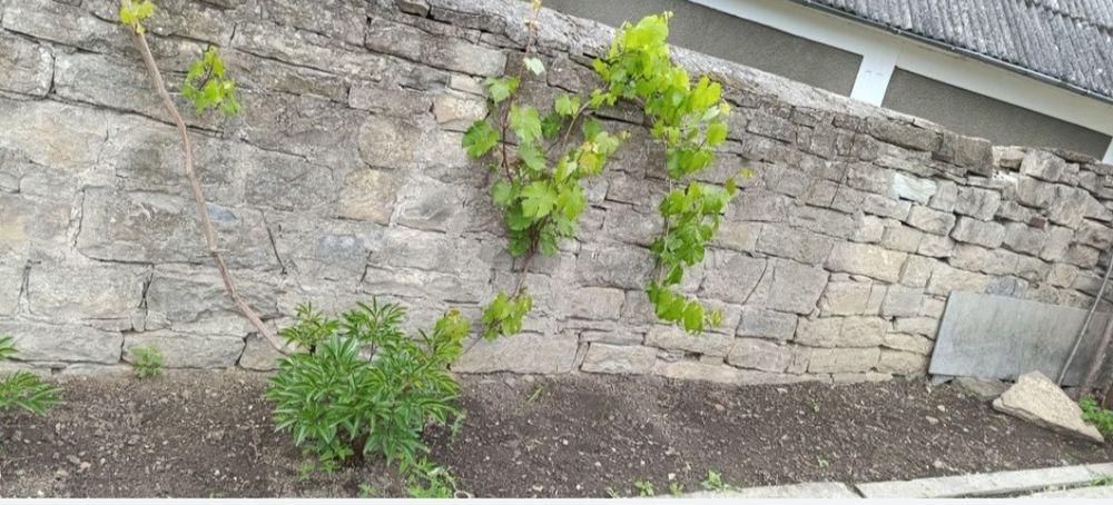 Продається природний бутовий камінь.