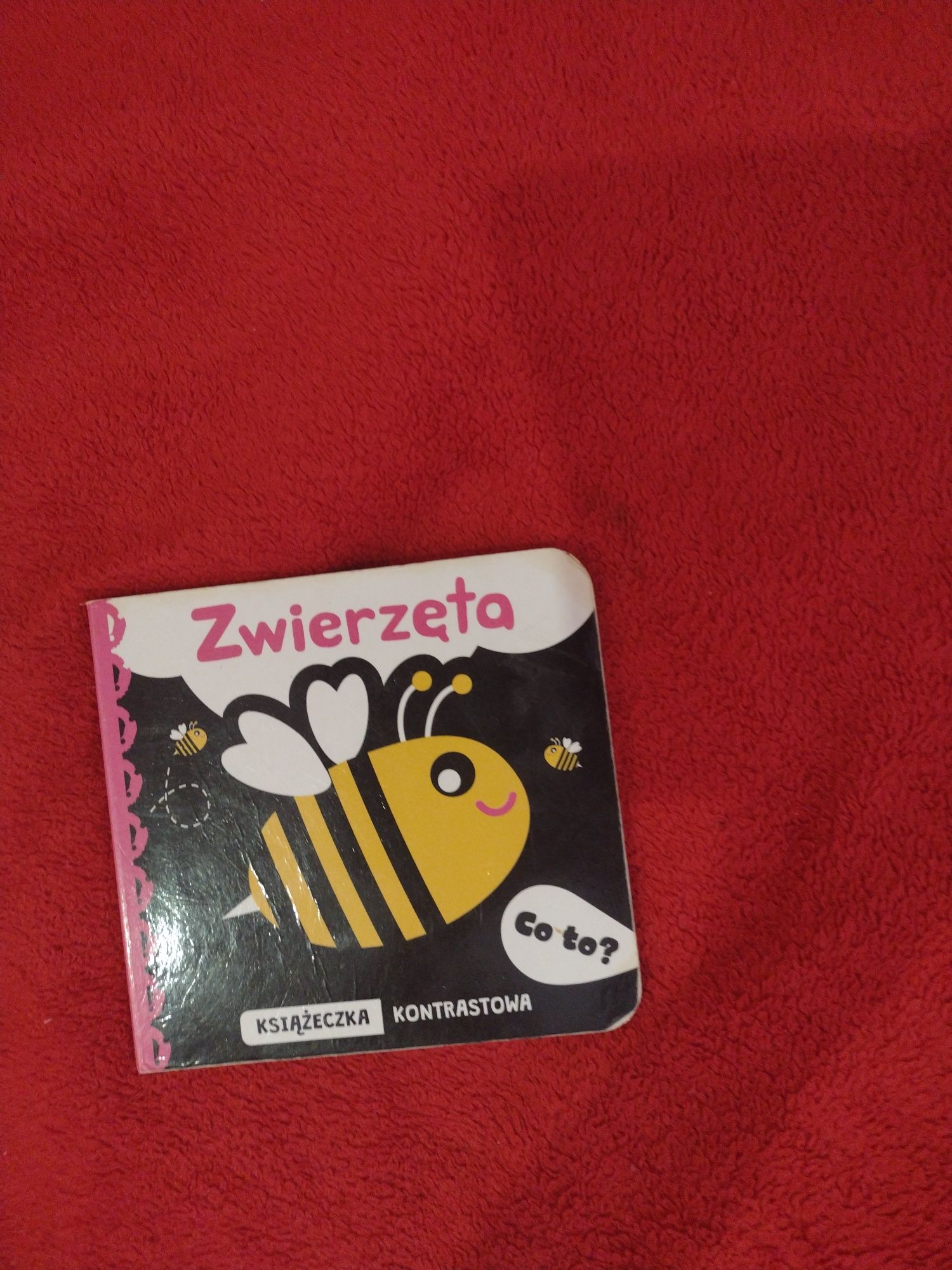 Pięć książek dla dzieci