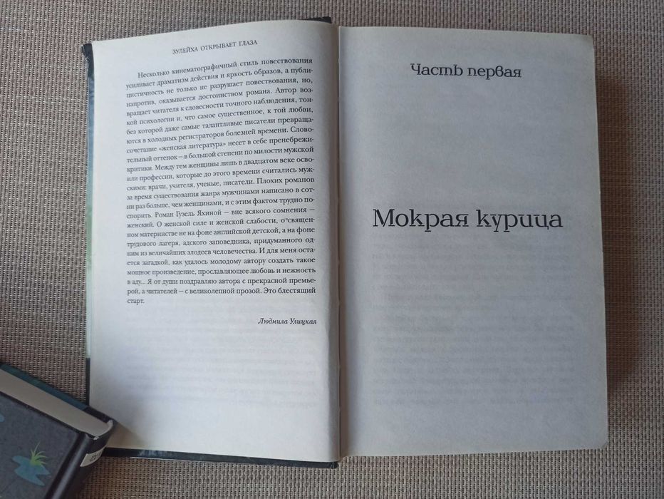 Гузель Яхина — Зулейха открывает глаза