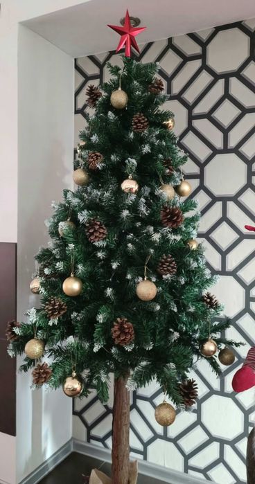 Choinka Sosna Diamentowa 180 cm
Ośnieżona z Naturalnym Pniem