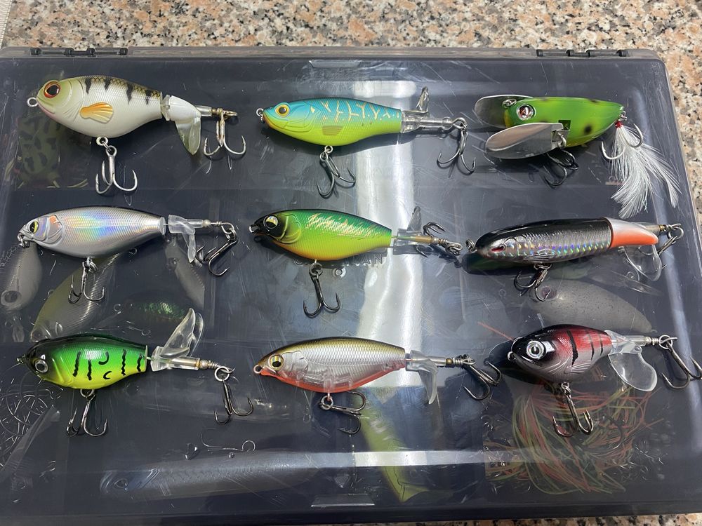 Lote de amostras - Pesca ao Achigã