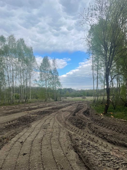 Czyszczenie działki, karczowanie, wycinka, mulczer wgłębny.