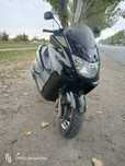 Yamaha majestic 250