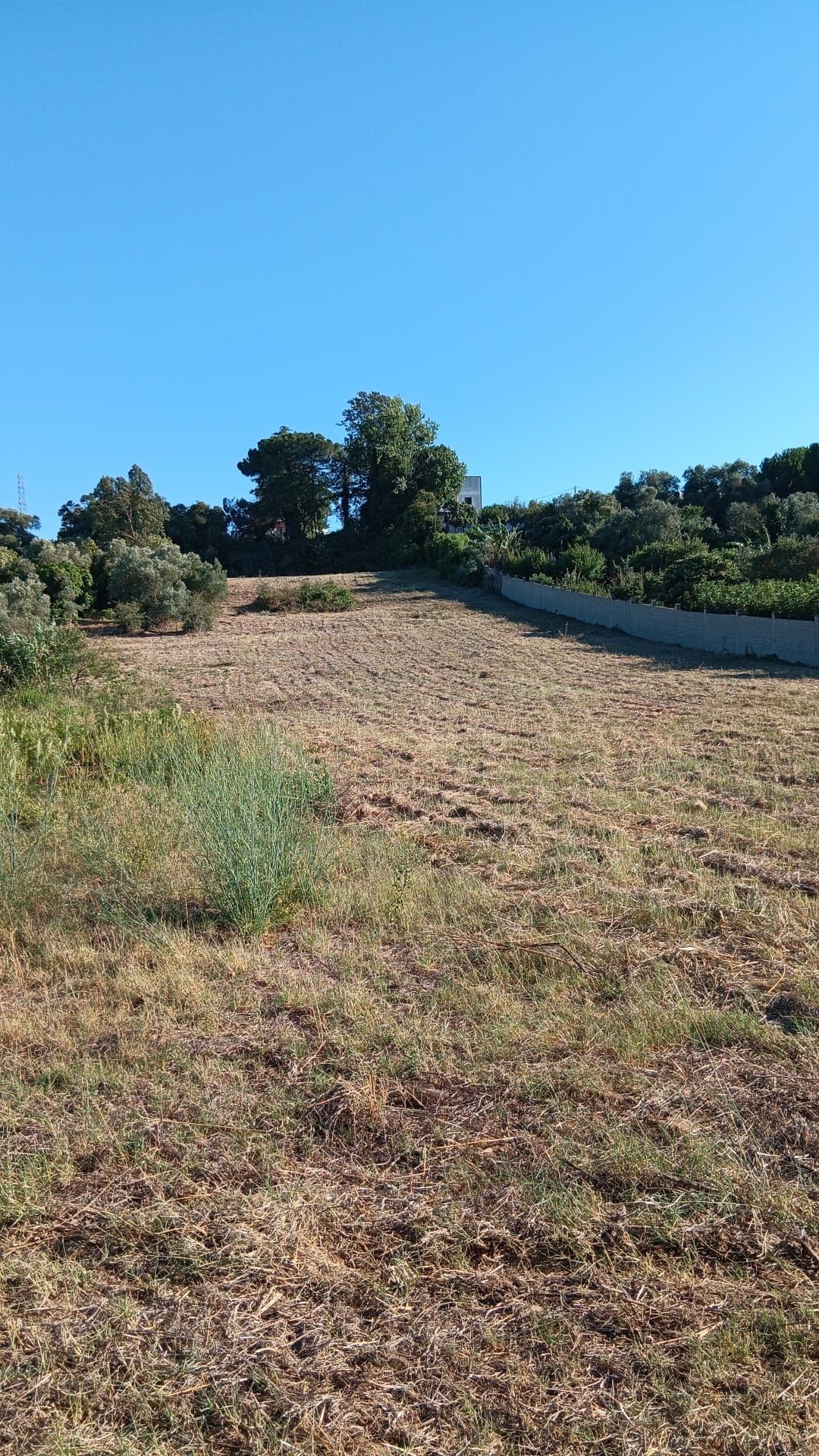 Terreno em Palmela