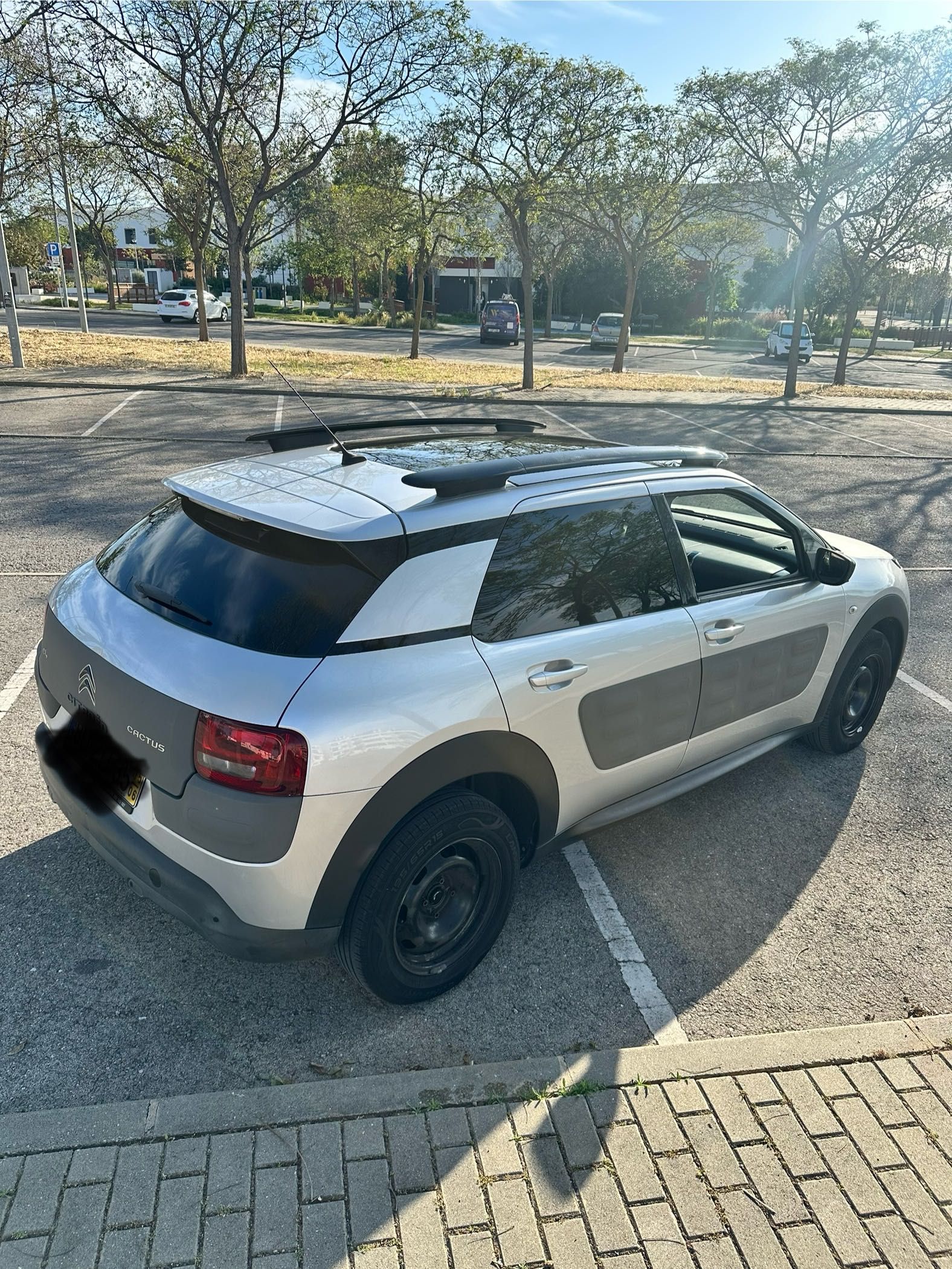 Citrôen C4 Cactus Airbump 2015
