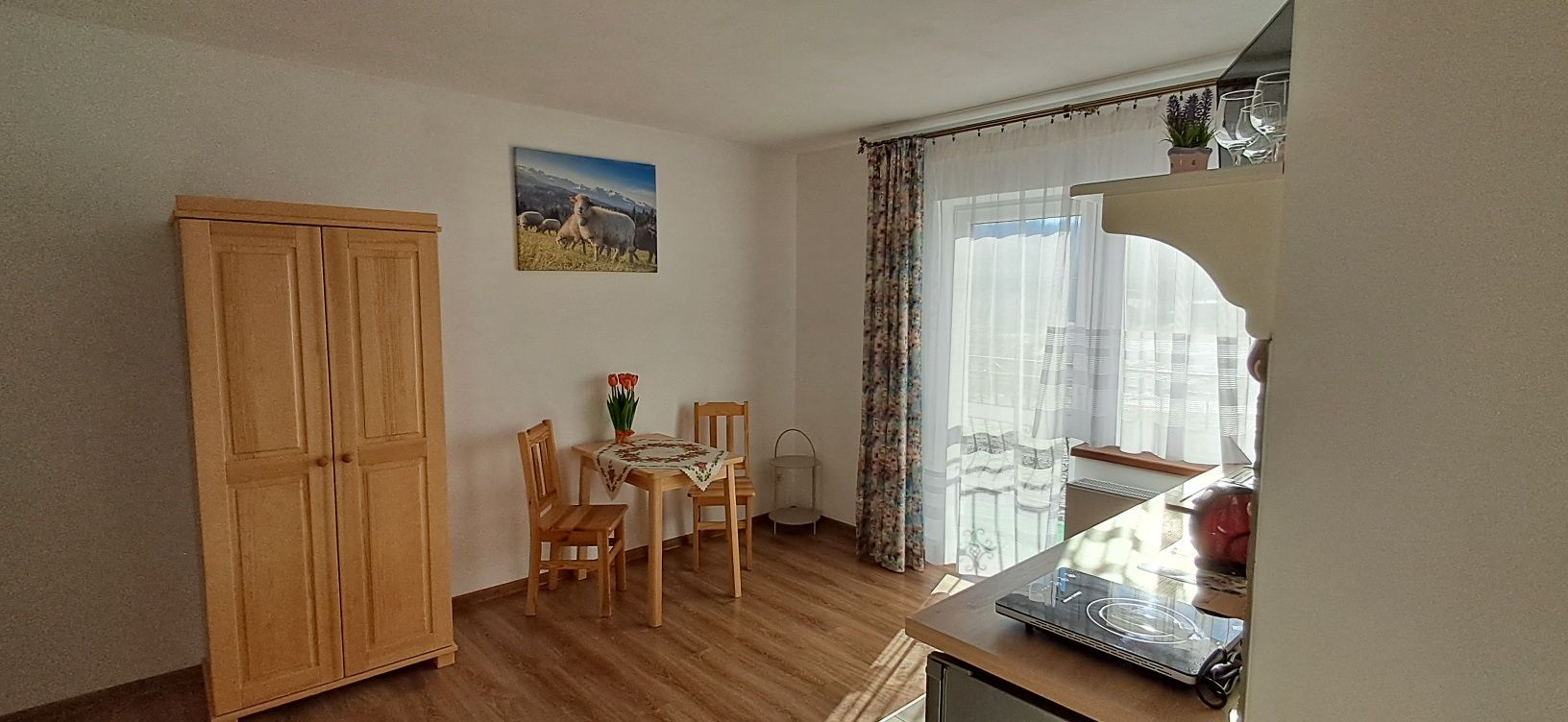 Pokoje Gościnne-Apartament - Zakopane