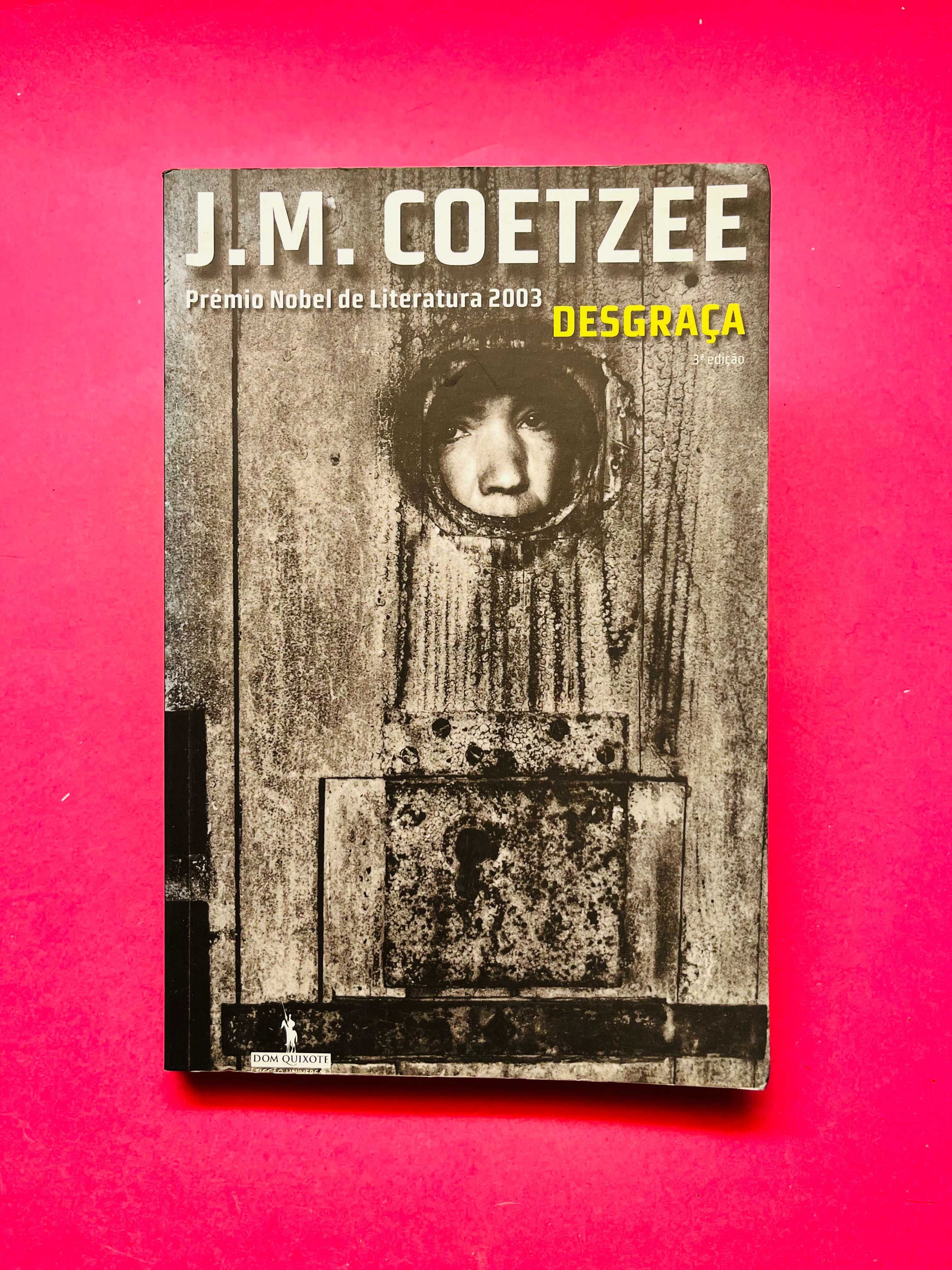 J.M. Coetzee - Desgraça