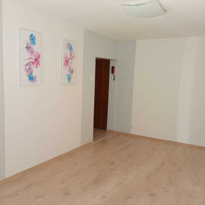 Kawalerka na parterze