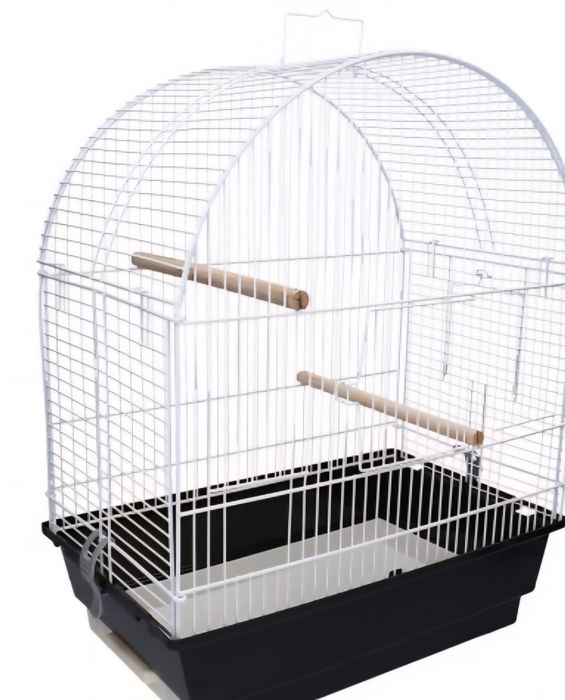 Grande variedades de gaiolas