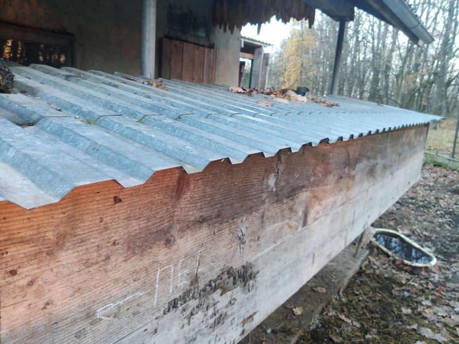 Продається клідка