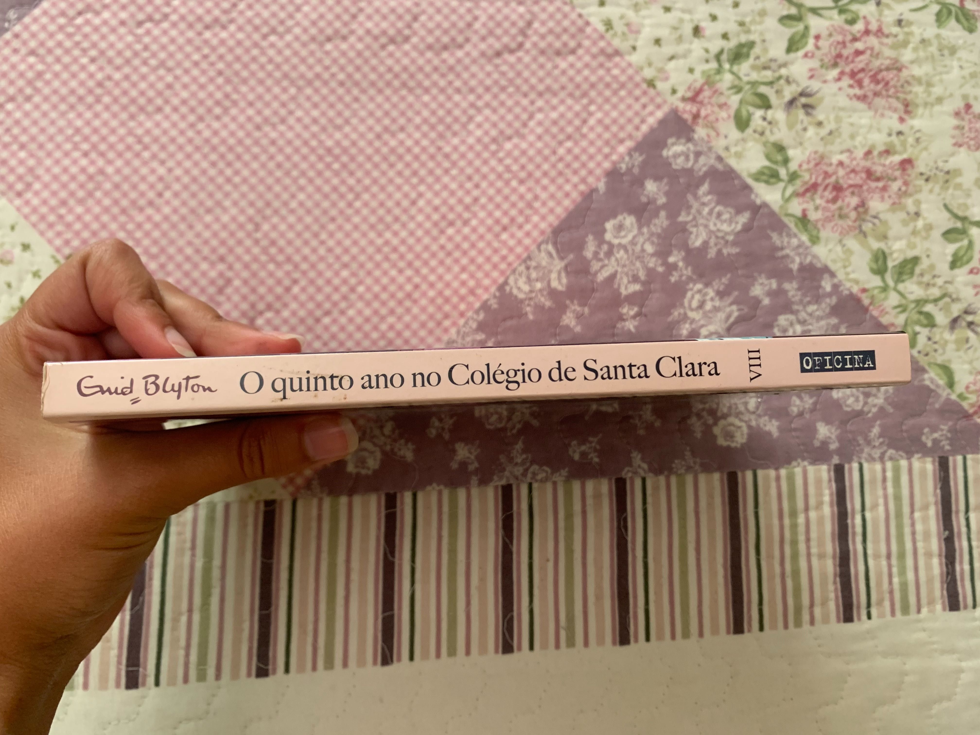 Livro juvenil - “AS GÉMEAS, o quinto ano em Santa Clara”