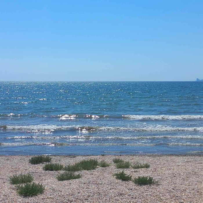 Дача на берегу моря