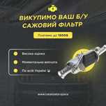 Дорого купимо Ваш старий каталізатор, сажевий фільтр. Викуп, Скупка.