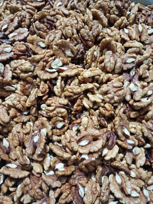 Горіхи чищенні урожай 2025