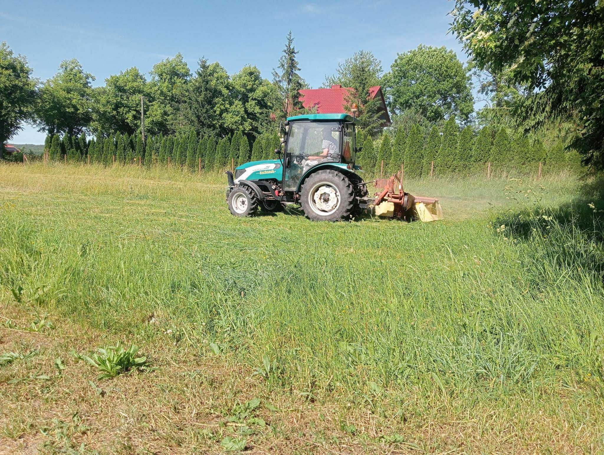 Koszenie traw,wycinka drzew i samosiejek,czyszczenie działek