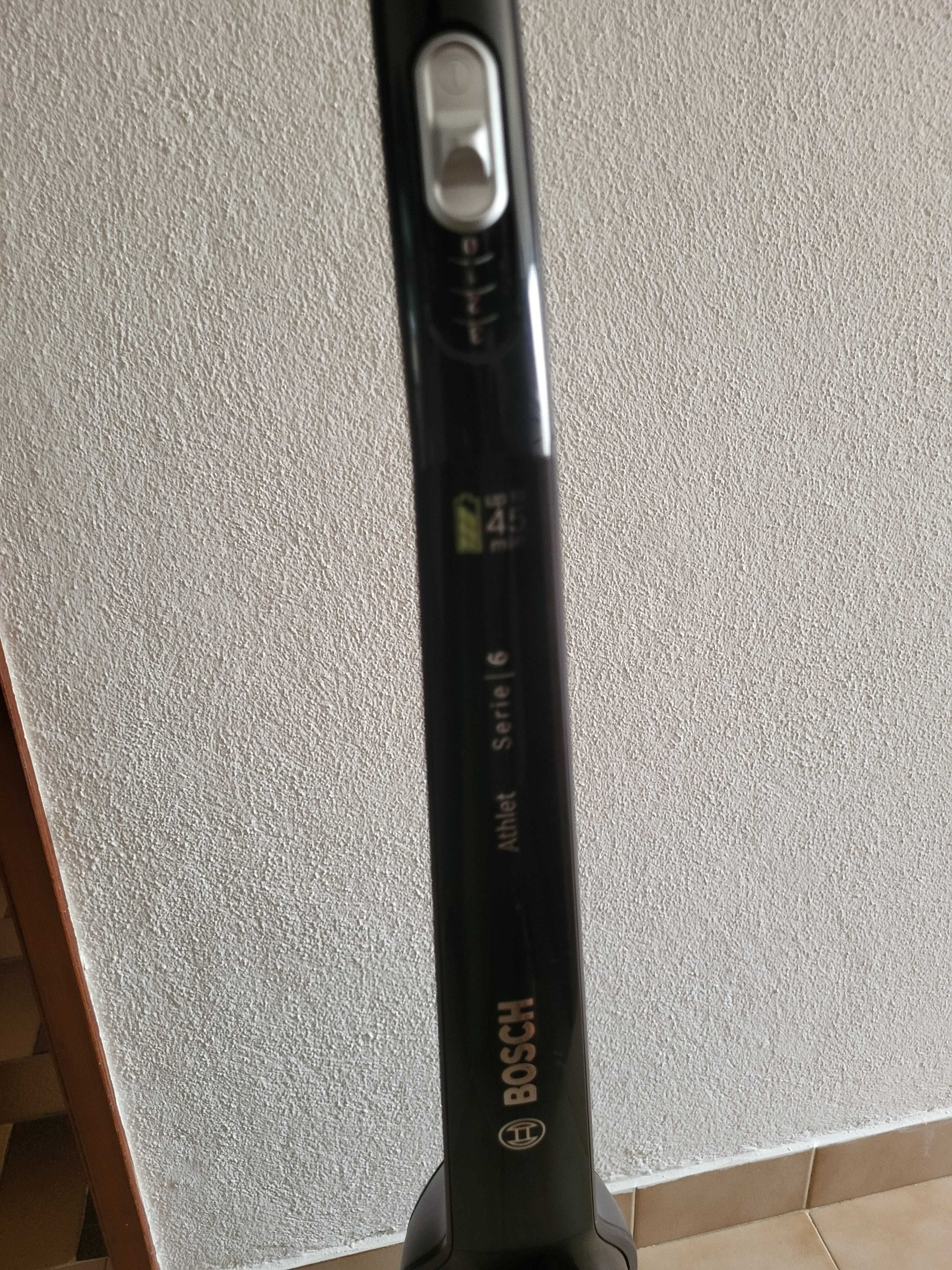 Aspirador vertical