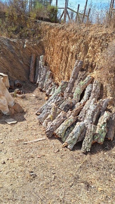 Tubos de cortiça 100% natural – Ideal para terrários e decoração