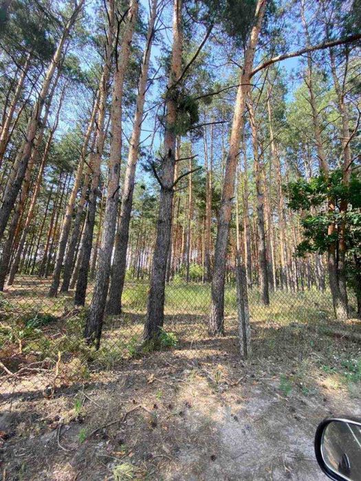 Ділянка 6 соток з дачею в СТ Ентузіаст, с. Блиставиця, Бучанський р-н