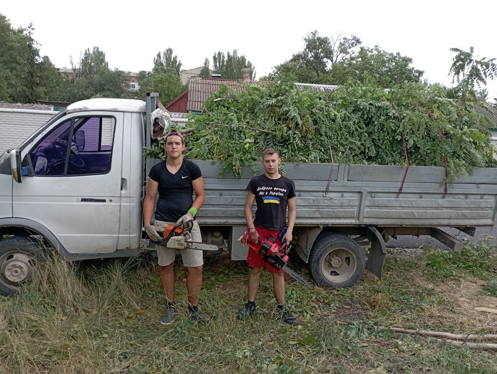 Спил деревьев карчовка пней уборка территории вывоз веток мусора.