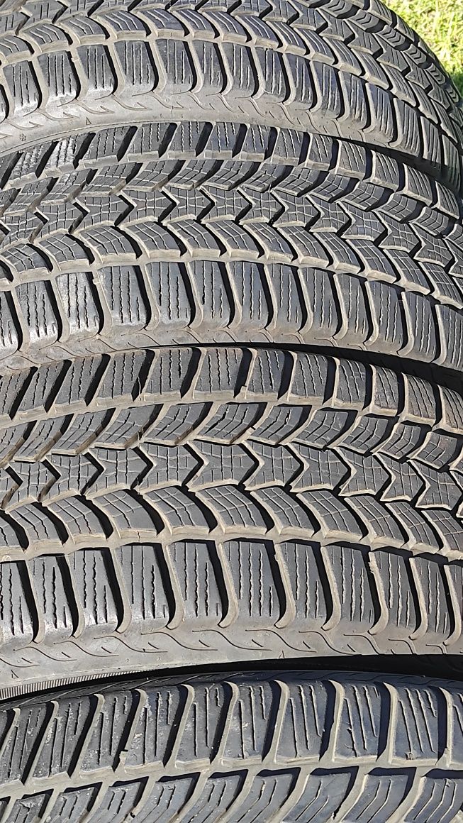 Opony zimowe Dębica 225/55 R17