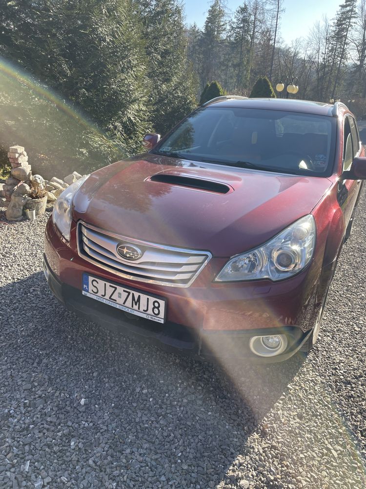 Subaru outback bordowe
