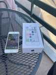 Iphone 5S Branco Cinza