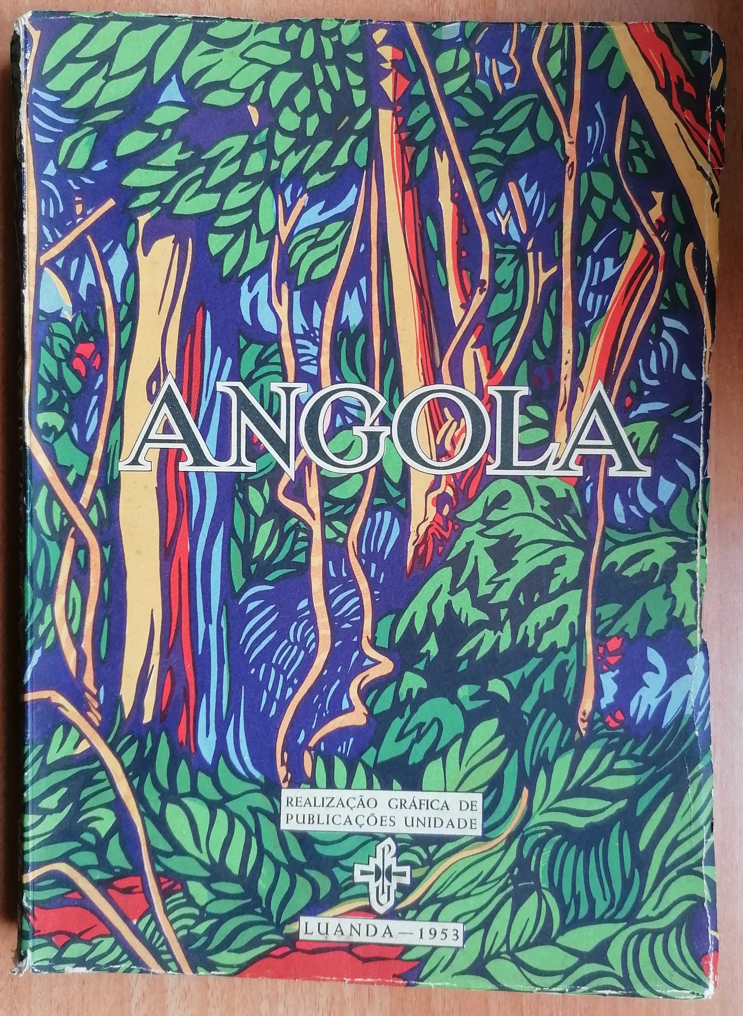 Livro Angola antigo