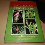 Como cultivar bromélias.