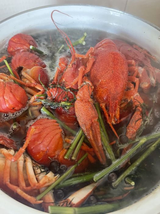 Живые раки Запорожье. 6 видов варки раков. Лушчие раки в городе !