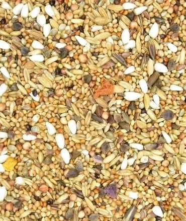 Papuga średnia bez słonecznika 10 kg MDM